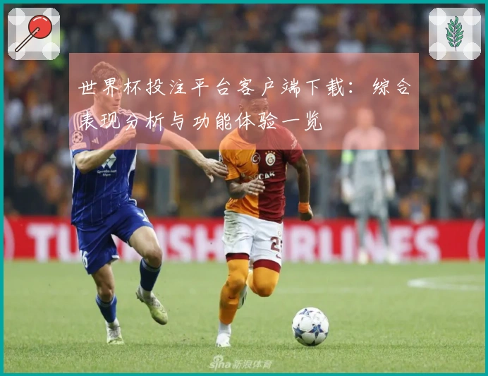世界杯投注平台客户端下载：综合表现分析与功能体验一览
