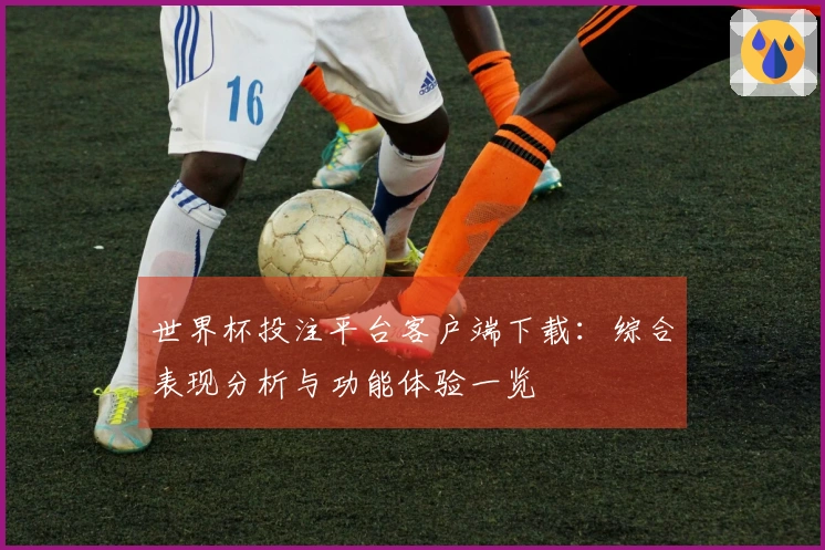 世界杯投注平台客户端下载：综合表现分析与功能体验一览