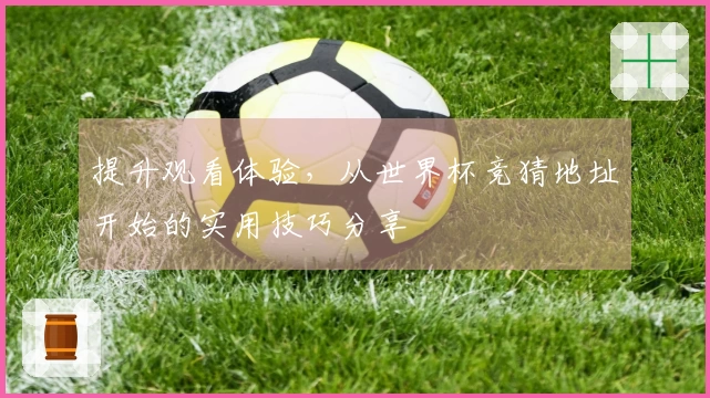 提升观看体验，从世界杯竞猜地址开始的实用技巧分享