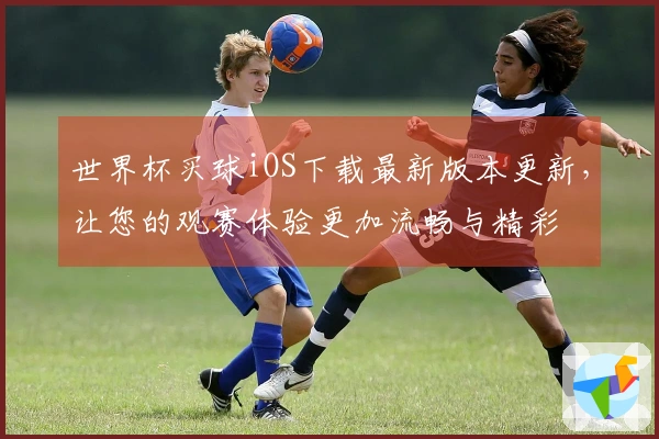 世界杯买球iOS下载最新版本更新，让您的观赛体验更加流畅与精彩