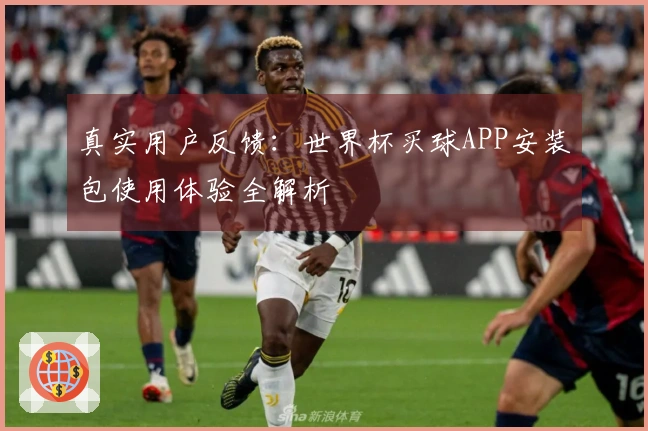 真实用户反馈：世界杯买球APP安装包使用体验全解析