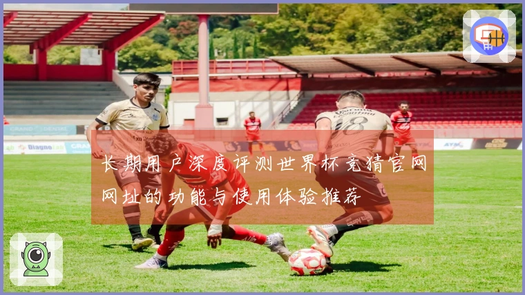 长期用户深度评测世界杯竞猜官网网址的功能与使用体验推荐