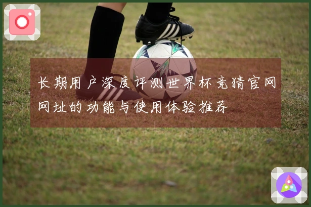 长期用户深度评测世界杯竞猜官网网址的功能与使用体验推荐
