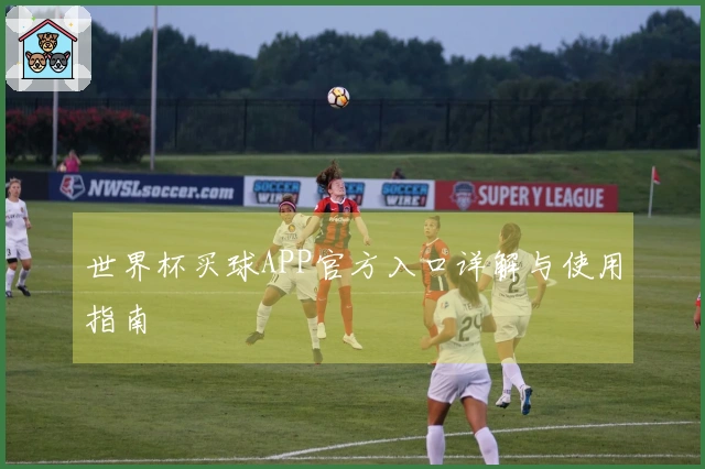 世界杯买球APP官方入口详解与使用指南