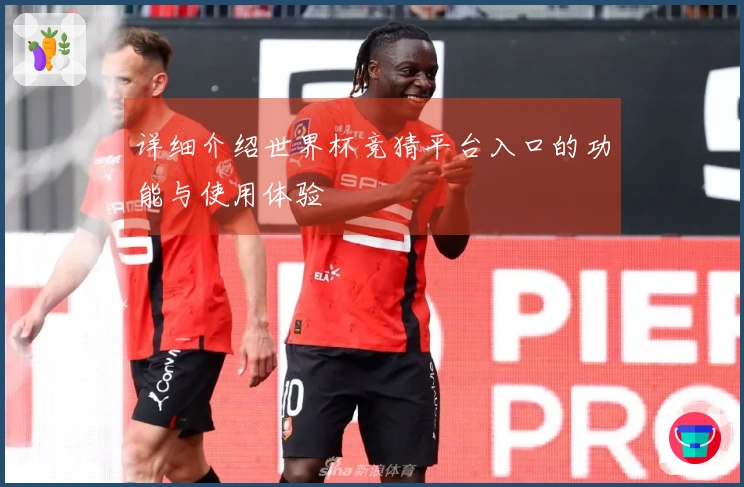 详细介绍世界杯竞猜平台入口的功能与使用体验