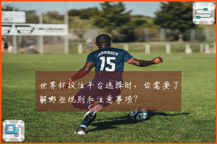 世界杯投注平台选择时，你需要了解哪些规则和注意事项？