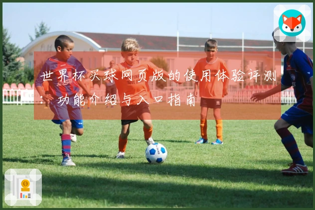世界杯买球网页版的使用体验评测：功能介绍与入口指南