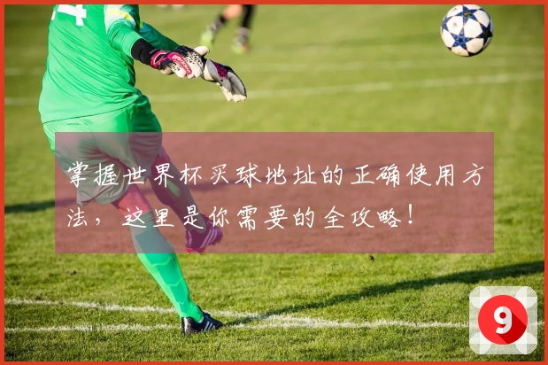 掌握世界杯买球地址的正确使用方法，这里是你需要的全攻略！