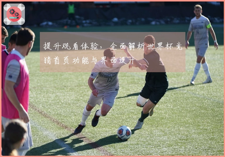 提升观看体验，全面解析世界杯竞猜首页功能与界面设计