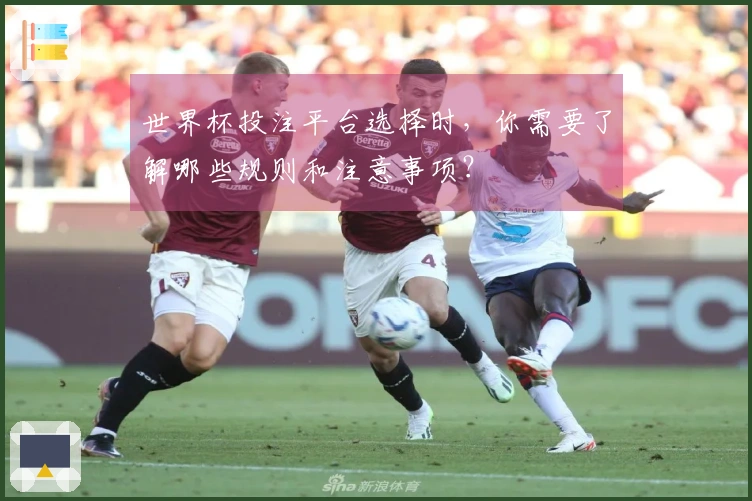 世界杯投注平台选择时，你需要了解哪些规则和注意事项？
