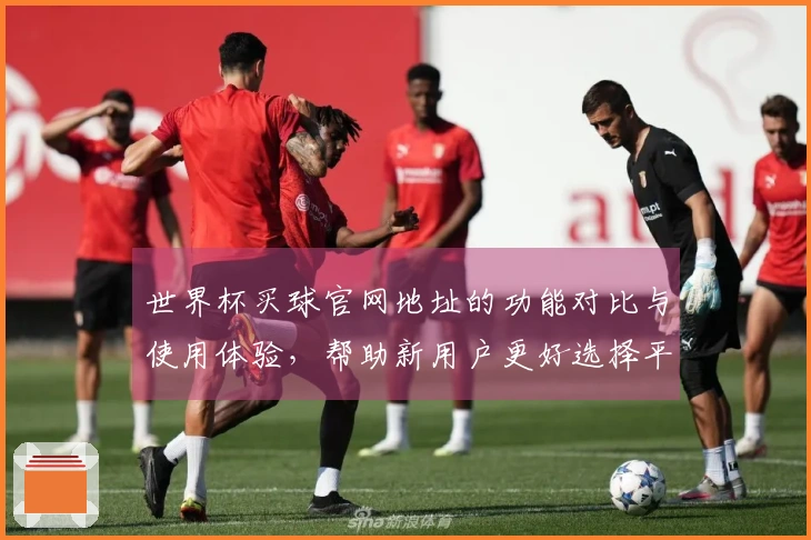 世界杯买球官网地址的功能对比与使用体验，帮助新用户更好选择平台