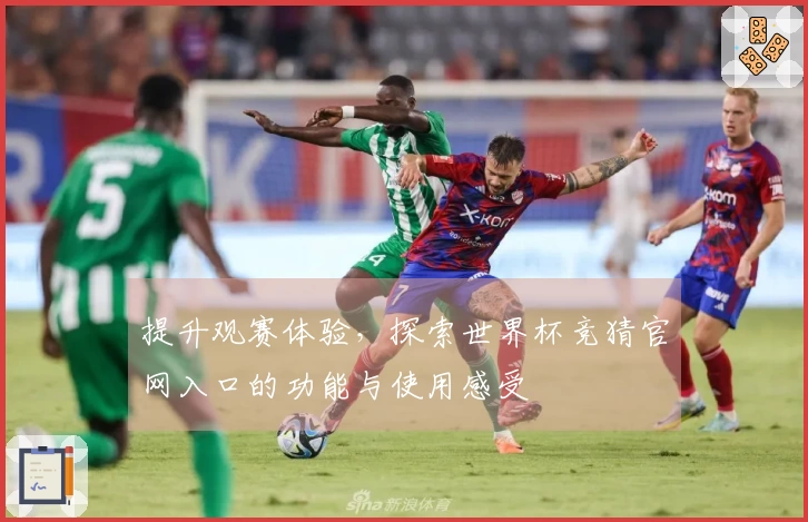 提升观赛体验，探索世界杯竞猜官网入口的功能与使用感受