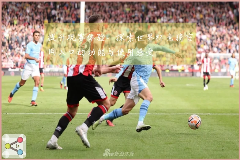 提升观赛体验，探索世界杯竞猜官网入口的功能与使用感受