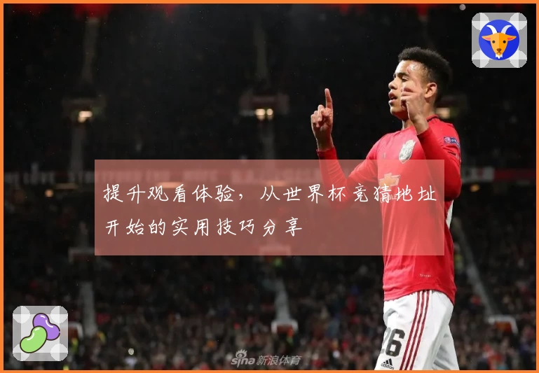 提升观看体验，从世界杯竞猜地址开始的实用技巧分享